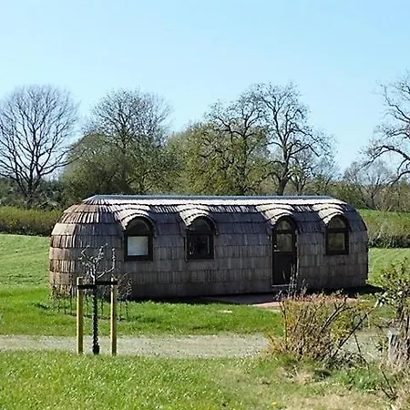 Igluhut-komfort-plus-2-1 Tatil Evi